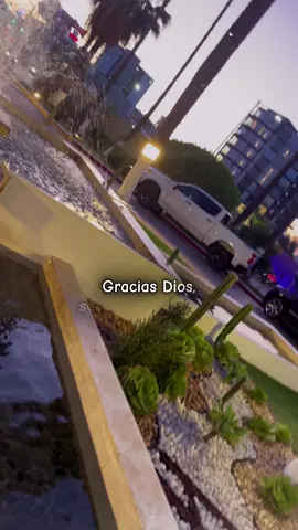 Agradecido por haber hablado a través de una persona importante para acercarme a ti y dejarte guiarme a mí propósito, hablaste desde el amor más bondadoso y noble para acercarme a ti, ahora veo que cumplió su propósito a través de ella para hacerme ver que debo dejar las cosas en tus manos❤️ . . . . . . . . . . #negocios #dinero #millonario #viajes #emprende #Motivacional 