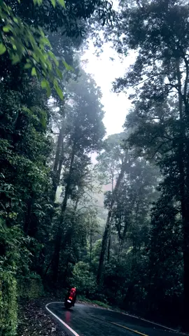 Satu emot kalian di kolom komentar  #fyppppppppppppppppppppppp #fyp #masukberanda #sadvibes #sadsong #lomboktiktok #monolog #lomboktiktok #lombokvirall🌴🌴 