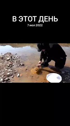 #ВэтотДень
