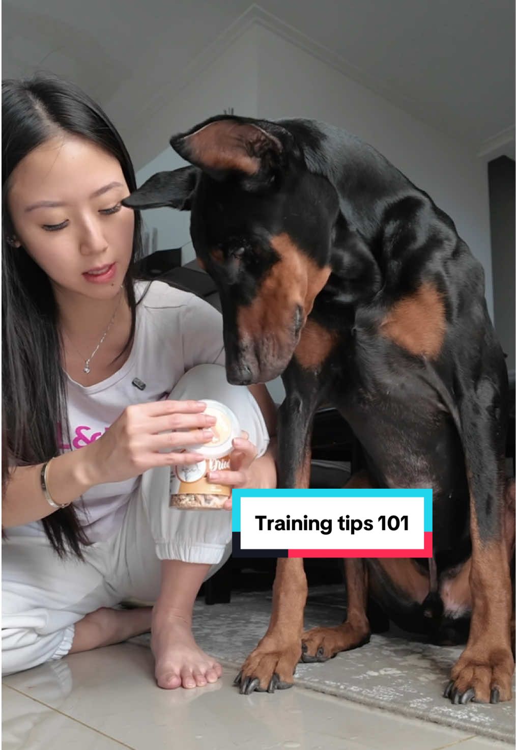 Training tips supaya anabul gak makan sembarangan