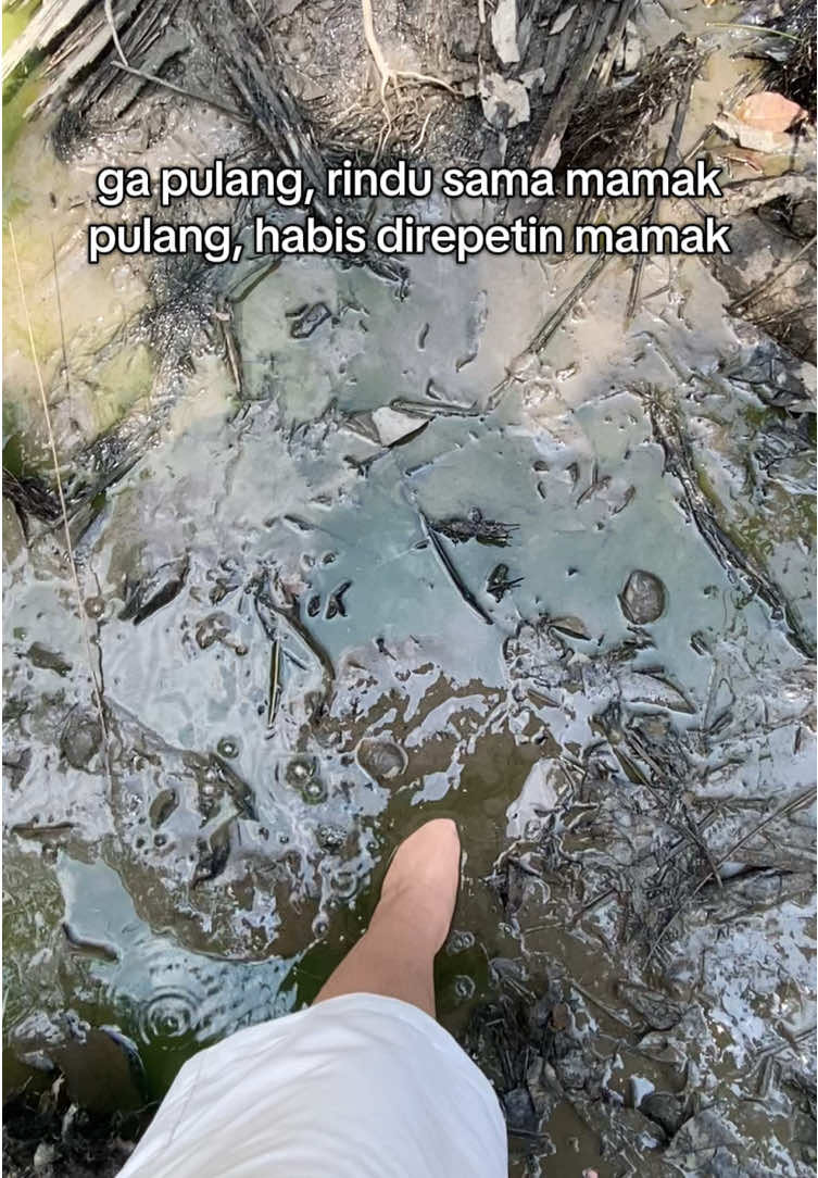 sungguh pilihan yang sulittt #fyp #fouryoupage #4u  #xyzbca #masukberandafyp #batak #bataktiktok #ladang #kolam 