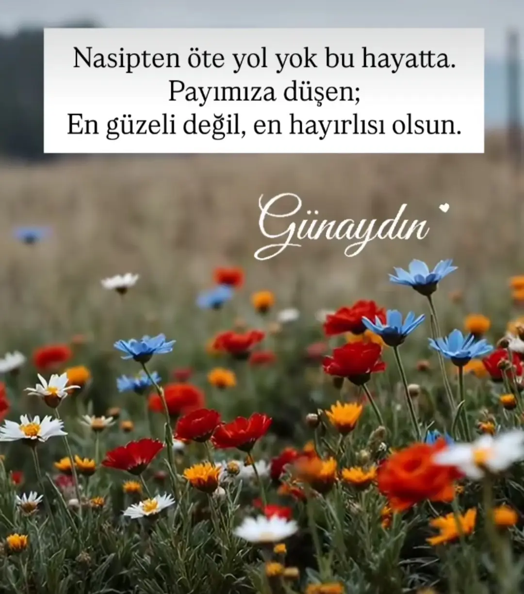 #günaydın_hayırlı_sabahlar  keşfet 🌹🌹🌹🌹