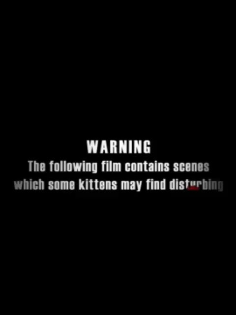 Fake images #lol #kittycat #cat #zombie #zombies #zombiecat #kittycity #cyriak #music #trauma #childhoodtrauma #warning 