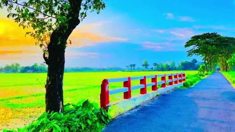 মানুষ তো বদলায় না বদলে যায় সময়.....😅💔🥀#viral #foryoupage #foryoupage #videography #viral_video_tiktok #naturelover #greenscreen 