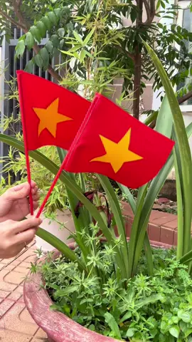 Lá Cờ Đỏ Sao Vàng cầm tay, vải lụa in nhiệt, cán nhựa bền đẹp. #minkymom #toiyeuvietnam #codosaovang #laco #covay #viral 