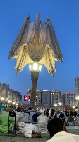 المدينة قطعة من الجنة فهنيئاً لأهلها بجوار خير البشر #المدينة_المنوره #المدينة_المنورة_الآن #قباء_المدينه_المنوره #المملكة_العربية_السعودية #المدينة_المنورة♥️🌴 #الحرم #مكة 