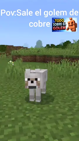 #golemdecobre #allay #minecraf #minecraftmemes 
