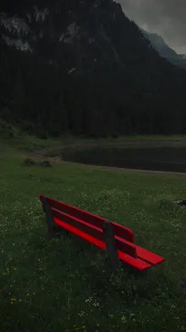 Dreamland calming 🖤🇨🇭 #relaxing #nostalgia #swissphotographer #explore #switzerland #calmvibes #moodyvibes #naturephotography #darkaesthetic #calm #darkphotography #lake #calmdown #cinematicvideo #aestheticvideos 