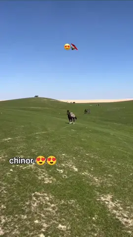 chinor😍😍
