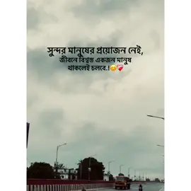 সুন্দর মানুষের প্রয়োজন নেই, জীবনে বিশ্বস্ত একজন মানুষ থাকলেই চলবে.! #topmoments #bdtiktokofficial @TikTok @TikTok Bangladesh #CapCut 