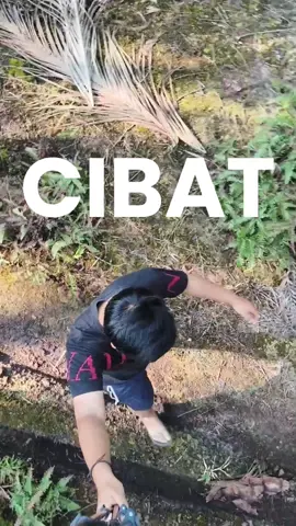BNN #petani #petanisawit #sawit #sawitriau 