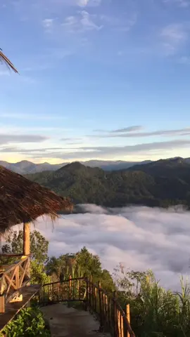 ✨ #toraja #torajapride🏝️💥 #torajasulawesiselatan #fyp #fypシ 