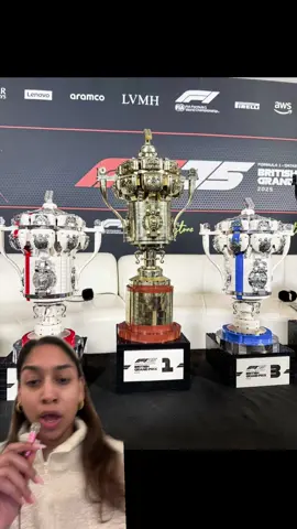 If I was Nico Hulkenberg, receiving a Lego trophy would be the best thing ever! I think it’s so freaking cool that the Silverstone trophies were Lego #f1 #f1edits #f1drivers #formula1 #nicohulkenberg #landonorris #oscarpiastri 