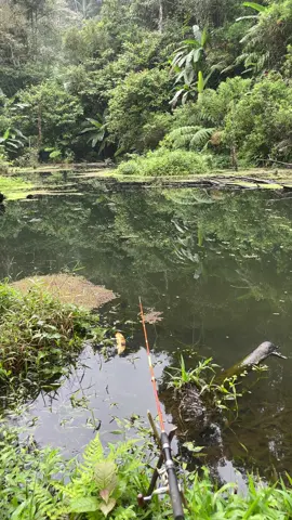 Spot mahal buat mancing #lembahtengkorakbandung 