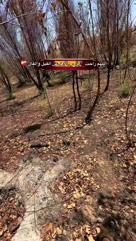 راحت البال بالطبيعه #ابراهيم_الحازم #العراق #راحة_نفسيه #تصويري📷 #تصويري_احترافي_الاجواء👌🏻🕊😴 #ديرام_توثه #الطبيعه #عبدالله_كلاسيك  @¹↻:عٌـبيس🇧🇪  @﮼ابراهيم ﮼الحازم ._.📸 