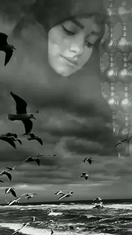 ###