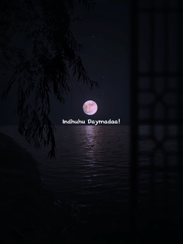 Dahab La Moodyey ||👸🫀🌹 #somalitiktok #slowedsongs #viralvideos #foryoupage #bayaxoow 