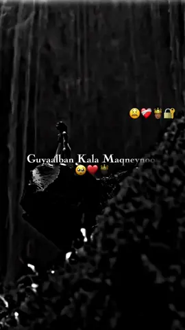 11:15#guyalban kala maqneyno#jaceyl💔🥺💊 #somalitiktok #foryoupage #foryou #fyp #somalitiktok 
