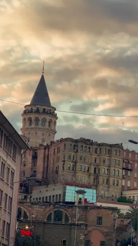 #1avuctoprak 