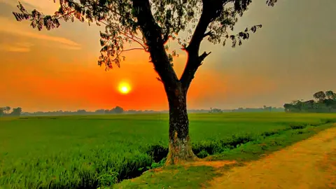 _মায়া জিনিসটা বড়ই অদ্ভুত,,😒 _না দেয় ভুলতে না দেয় ভালো থাকতে..!❤️‍🩹🥺 #foryou #foryoupage #trending #viral #viralvideo #tiktok #capcut @TikTok @TikTok Bangladesh 