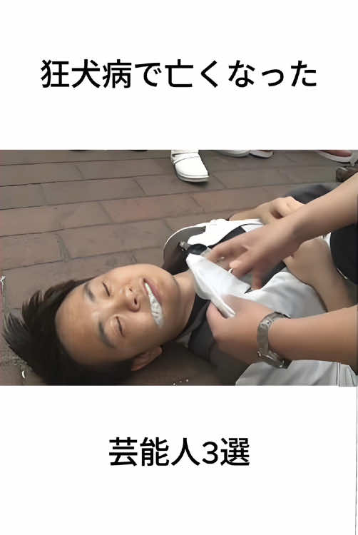 #芸能人 #雑学 #芸能界 