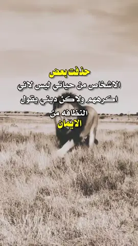 #في هذا اليوم #اكسبلورexplore #أقتباسات_عبارات_خواطر 