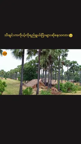 မိုးအေးအေးလေးနဲ့လွမ်းစရာအညာ🥹#📷kowai #foryoupage 