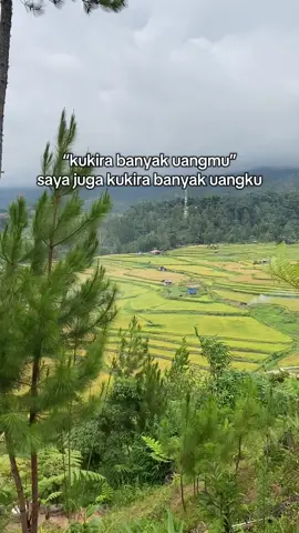 Jadi???😆😭 #fyp #tondokbakaru #fypシ゚viral #citolhillmamasa #mamasa #tempatwisatamamasa 