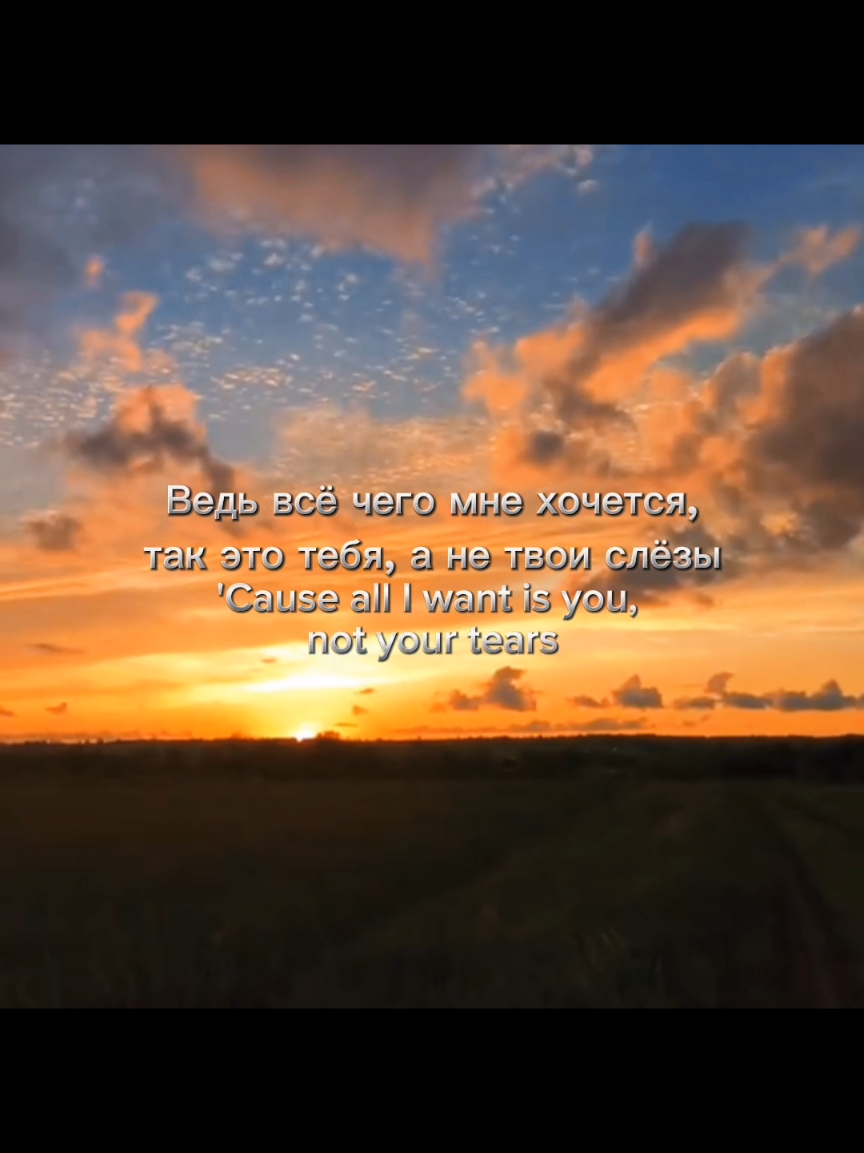 Ответ пользователю @niks_ks_ks  Original song : Stray Kids (Han) - Hold My Hand | #straykids #stay #hanjisung #han #hanholdmyhand #straykidsstay #lyrics #kpopfyp 