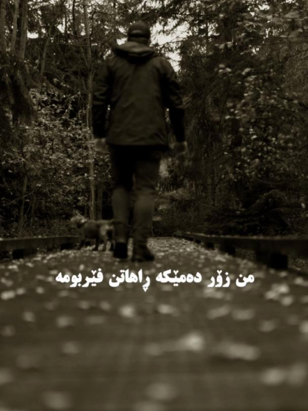 #farsi_kordi #تیک_تاک_ایرانی #foru #fypシ゚ #fy #fypage #foryoupage #fyp #fypp #viral #viral_video #explore #video
