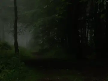 16:20