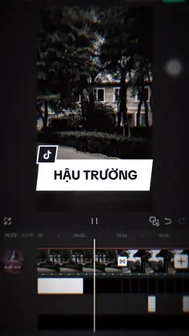 Hậu Trường : Cari Pokemon Remix #CapCut #edit #mẫucapcut #xh #nhachaymoingay #lyrics #capcutmaster 