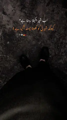 ⚔️💀❤️‍🔥#foryou #foryoupage #shani_here 
