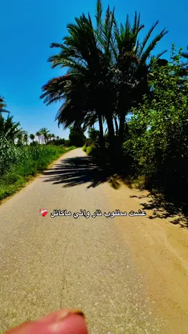 واني ماكاتل 💔#عبارات_حزينه💔 #عبارات #شعب_الصيني_ماله_حل #💔🥀 #عبارات_حزينه💔 