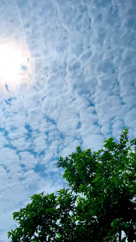 View+ song🥺❤️‍🩹😌🥀#pindawale #foryoupage #tiktokpakistan #1millionaudition #community #tiktok 