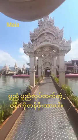 👉Maia👈 အစစ်ကိုမြင် အချစ်ကိုပြင်နိုင်ကြပါစေ...#Tik .Tok#Myanmar #ခင်မင်အားပေးတဲ့အတွက်အားလုံးကိုကျေးဇူးအထူးတင်ပါတယ်ရှင့် ###