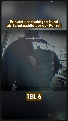 Teil 6 #arrest #polizei #policeoftiktok #deustland #fypシ 