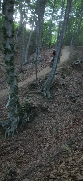 #forrrrryouuuupaggeeeee #mamaliverdikousia #ktm450 @Δημητρης βαλαρης ,@Rafahldhm @Teo_Blahos @Χρήστος Δάλλας #trelaaaaa #