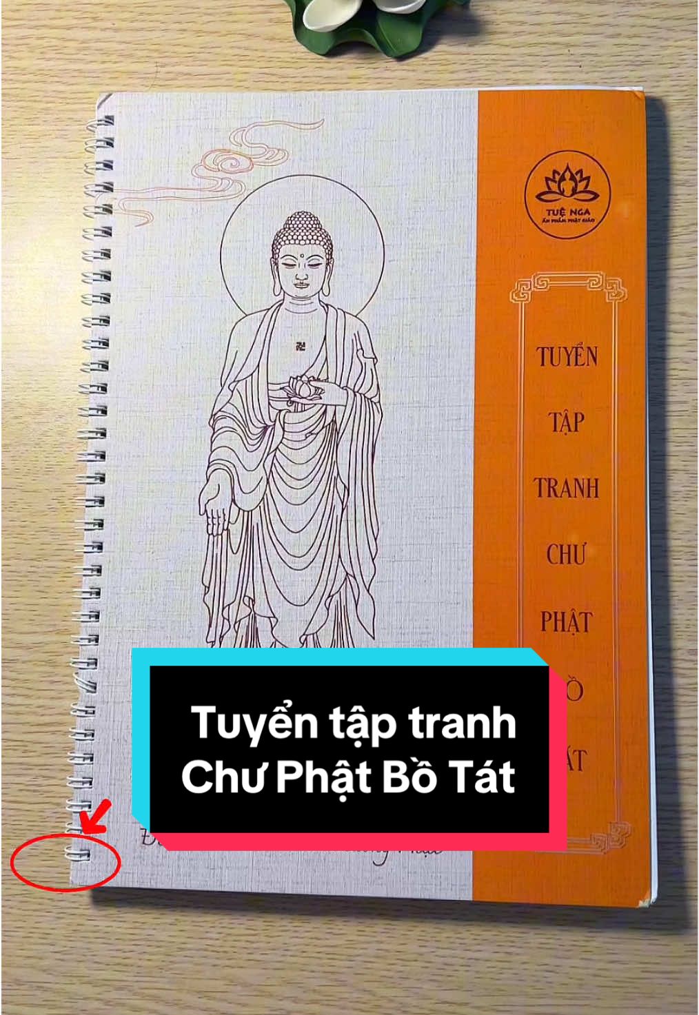 Tuyển tập tranh Chư Phật Bồ Tát #phatphap #phatphapnhiemmau #hocphatmoingay #diatangvuongbotat #quantheambotat #phatdilac #phatthichca #phatadida #vanthusuloibotat #phohienbotat #minhantamnhan 