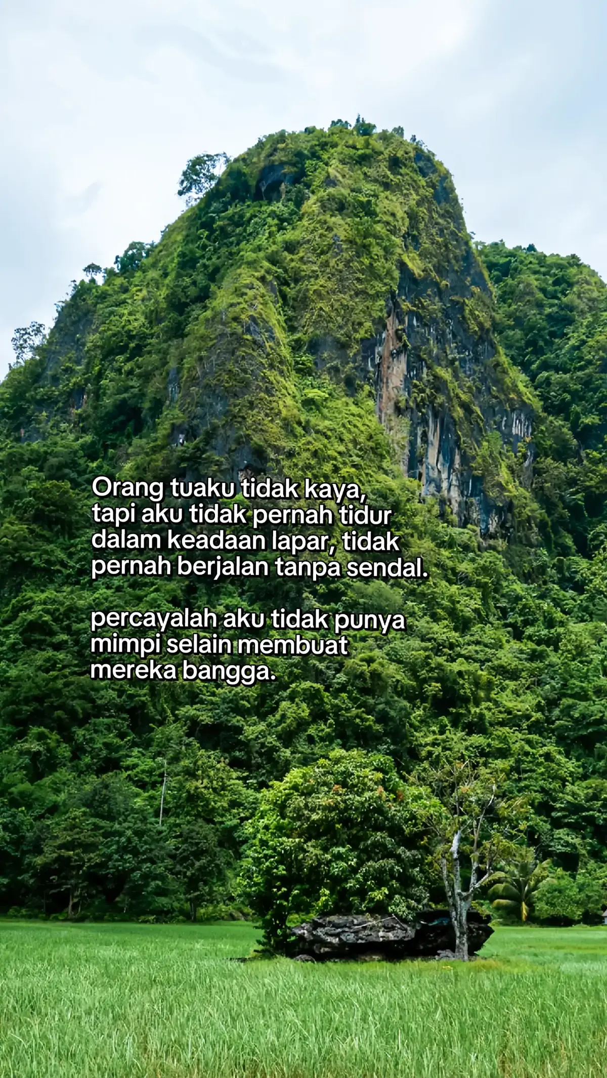 #xyzbca #foryou #fyp 
