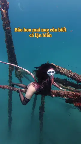 Biển Đà Nẵng xuất hiện con báo hoa mai biết lặn biển săn mồi😆 @Châu Bé cực slay, đỉnh nóc kịch trần❤️ #freedivingdanang #dulichdanang #freediving #lantudo #danang #lantudodanang #vietnam #duluon #vietnamese 