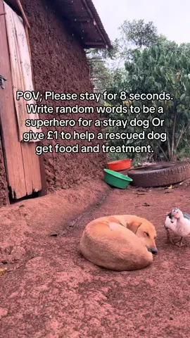 Donate and give today to a stray dogs 🐕. #ssenyonjogodfreydogsrescue #animalsoftiktok #fyp 