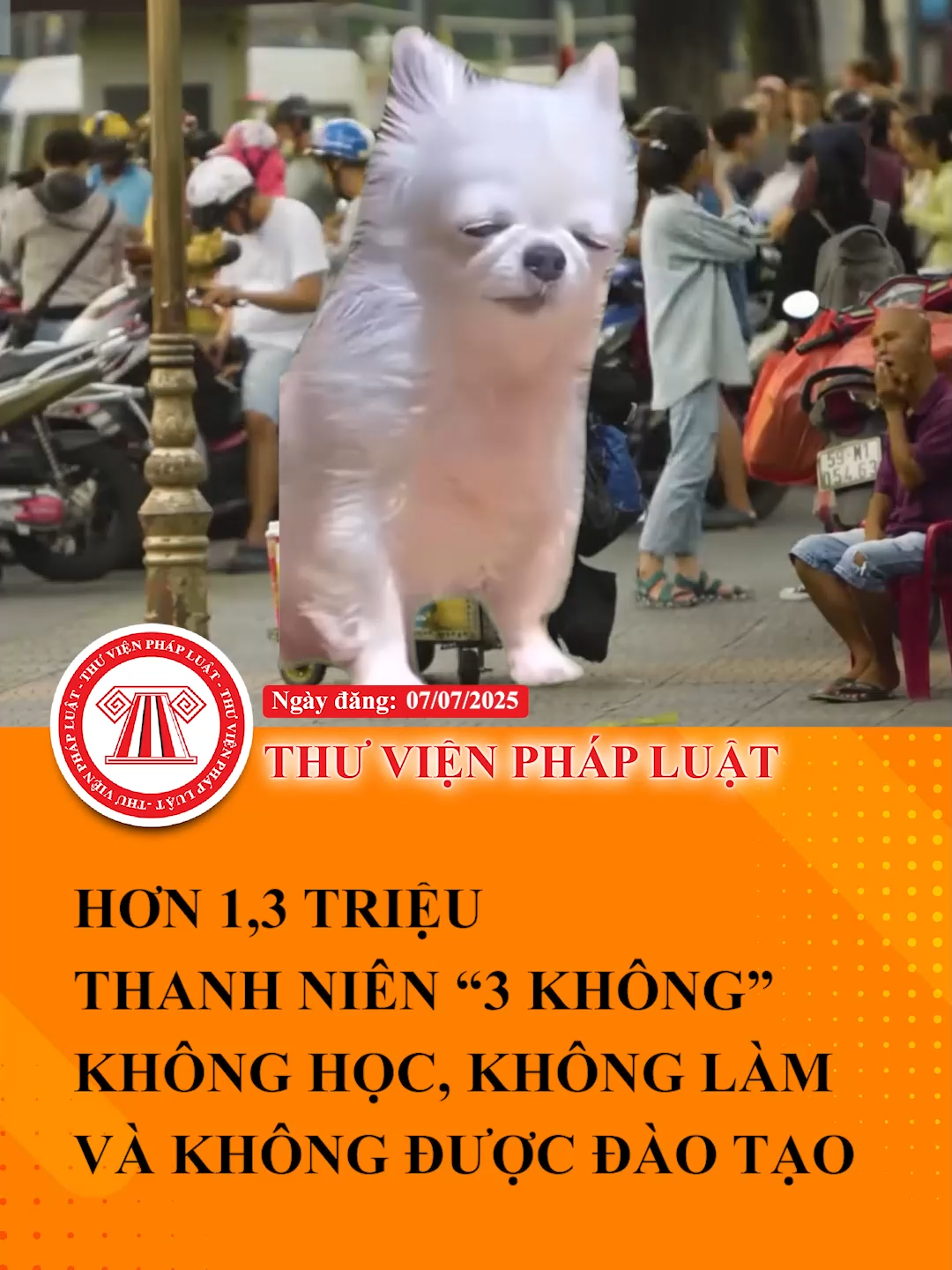 Hơn 1,3 triệu thanh niên “3 không”: Không học, không làm và không được đào tạo #TVPL #ThuVienPhapLuat #LearnOnTikTok #Hoccungtiktok