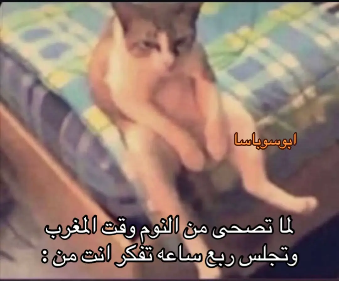 #ابو_سوباسا 