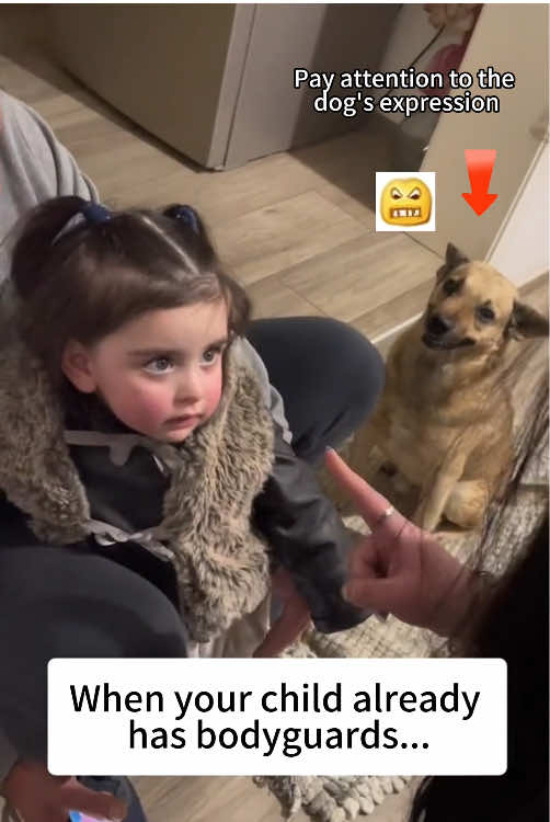 When your child already has bodyguards…🥰💕#dog #baby #pet #protection #fyp #puppy #tiktok 