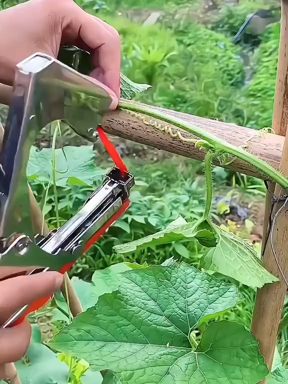 Plant Strapping Machine Garden #garden #ornamentalplants #plantstrappingmachine #weeding #handtools #protools #tiktokshop #tool #homefinds #mustang #gamechanger #foryoupage #toolbox #toolstoday #Outdoors #garden #gardening #gardeninghacks #carpenter #tiktokfinds #TikTokShop #gadgets #onlineshoppping
