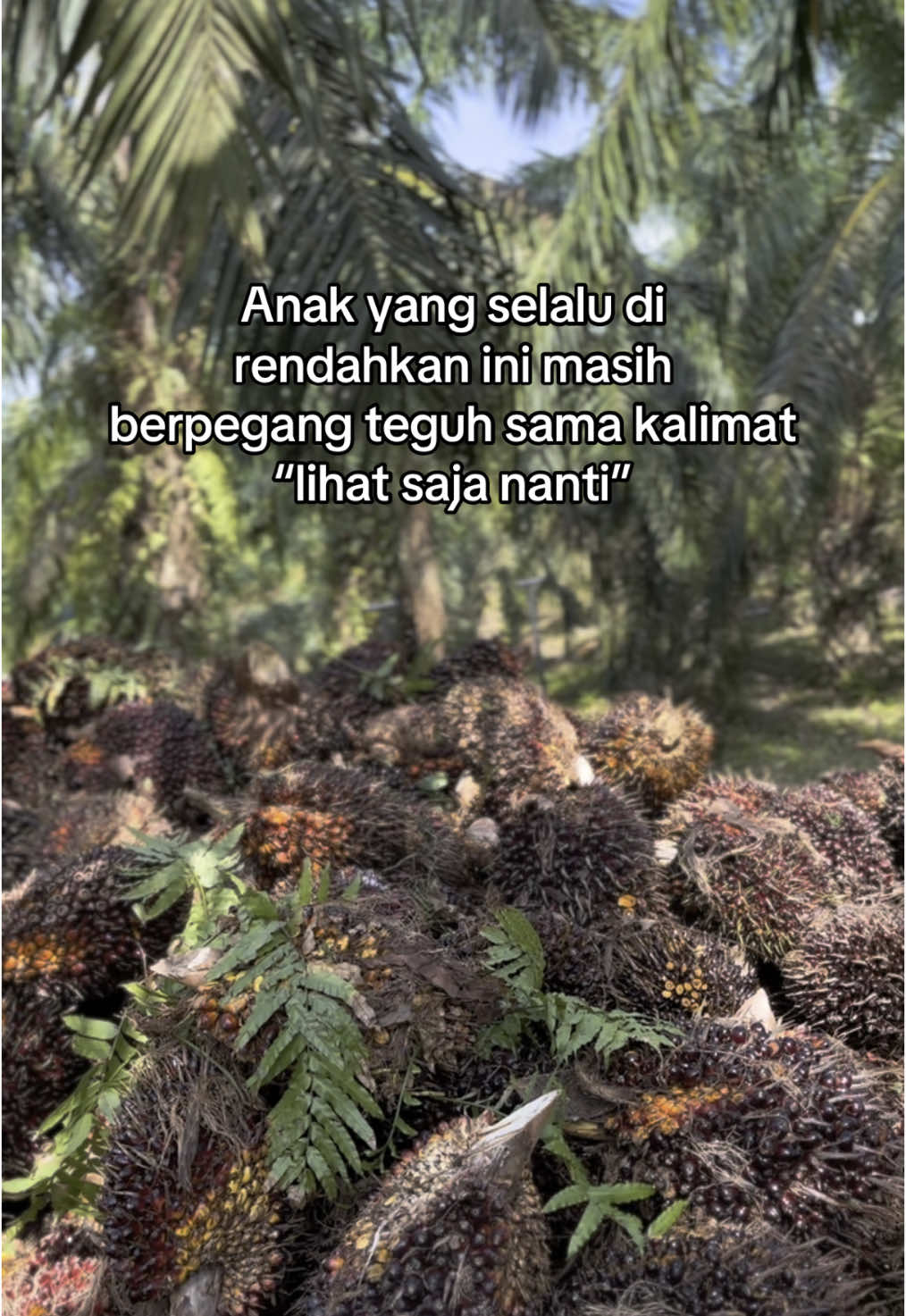 Semua butuh proses💪#fyp #fypシ゚ #fypシ゚viral #fouryou #fypage #fypdongggggggg #fyppppppppppppppppppppppp #sawit #kulisawit #petanimudasukses 