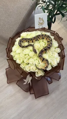 كلعام وانتي بخير يا لفعة 🐍🤣##مكتبة_الوفاق_طرابلس➥🎁 #عين_زاره #حي_الاندلس #غريان_طرابلس_ليبيا🔥🇱🇾🇱🇾 #مشاهدات_تيك_توك #طرابلس 