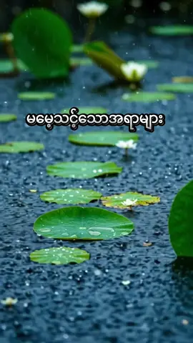 #သစ္စာရွှေစည်ဆရာတော်အရှင်ဥတ္တမ၏တရားတော် #ဓမ္မဒါန #တရားနာယူချင်းဖြင့်စိတ်အေးချမ်းပါစေ🙏🙏🙏 #တရားနာ၍စိတ်ရောကိုယ်ပါအေးချမ်းကြပါစေ😊🙏🌹 