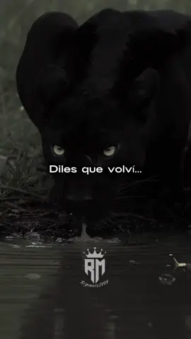 Diles que volví !🥷🏻👑🙂‍↕️ #parati #foryou #viral #motivation #foryoupage #obsessed #consejos #discipline #focus #motivationalquotes #crecimientopersonal #inspiration #motivationquotes 